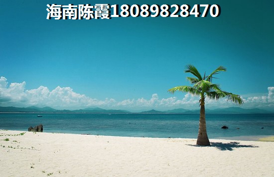 地恒时代VS国家海岸·保利海棠分析对比