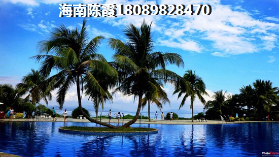 保亭房价走势醉新消息2025